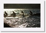 IMG10154_P * 4360 x 2896 * (3.16MB)