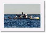 IMG10302_P * 4459 x 2962 * (1.97MB)