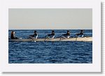 IMG10309_P * 4413 x 2931 * (1.92MB)