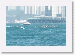 DSC01024_P * 5472 x 3648 * (4.15MB)