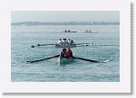 DSC09151_P * 5472 x 3648 * (3.46MB)
