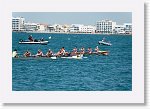DSC10066_P * 5472 x 3648 * (4.96MB)