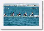 DSC10101_P * 5472 x 3648 * (4.9MB)