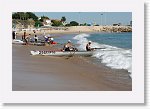 DSC01280_P * 5472 x 3648 * (4.73MB)