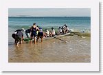 DSC01335_P * 5472 x 3648 * (4.41MB)