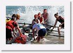 DSC01381_P * 5472 x 3648 * (4.77MB)