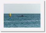 DSC01446_P * 5472 x 3648 * (3.25MB)