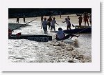 DSC01493_P * 5472 x 3648 * (5.37MB)