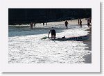 DSC01504_P * 5472 x 3648 * (5.28MB)