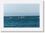 DSC01553_P * 5472 x 3648 * (3.16MB)