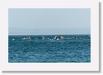 DSC01554_P * 5472 x 3648 * (3.14MB)