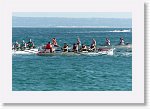DSC03111_P * 5472 x 3648 * (3.63MB)