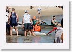 DSC02790_P * 5472 x 3648 * (3.31MB)