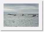 DSC03660_P * 5472 x 3648 * (3.88MB)