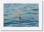 DSC04879_S * 5472 x 3648 * (4.48MB)