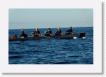 DSC04888_S * 5472 x 3648 * (5.15MB)