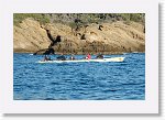 DSC04928_S * 5472 x 3648 * (7.76MB)