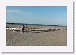 DSC06241_S * 5473 x 3648 * (5.55MB)