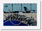 DSC06296_S * 5473 x 3648 * (4.61MB)