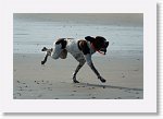 DSC06311_S * 5473 x 3648 * (3.64MB)