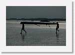 DSC06325_S * 5472 x 3648 * (5.52MB)