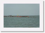 DSC06512_S * 5472 x 3650 * (4.18MB)