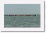 DSC06516_S * 5473 x 3648 * (4.32MB)