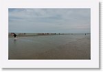 DSC06534_S * 5769 x 3648 * (4.51MB)