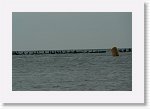 DSC06621_S * 5473 x 3648 * (4.6MB)