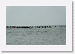 DSC06626_S * 5472 x 3648 * (3.67MB)