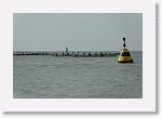 DSC06628_S * 5473 x 3648 * (3.96MB)