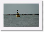 DSC06630_S * 5473 x 3648 * (4.33MB)
