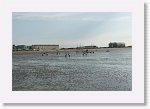 DSC06636_S * 5473 x 3648 * (4.83MB)