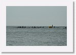 DSC06642_S * 5473 x 3648 * (4.09MB)