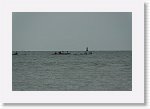 DSC06643_S * 5473 x 3648 * (4.2MB)