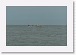 DSC06696_S * 5473 x 3648 * (4.33MB)
