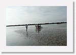 DSC06697_S * 5496 x 3648 * (4.25MB)