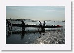 DSC06700_S * 5472 x 3648 * (5.52MB)