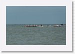 DSC06916_S * 5473 x 3648 * (4.52MB)
