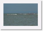 DSC06961_S * 5473 x 3648 * (4.66MB)