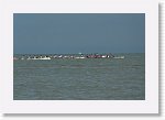 DSC06962_S * 5473 x 3648 * (4.61MB)