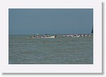 DSC06964_S * 5473 x 3648 * (4.62MB)
