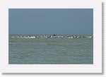 DSC06968_S * 5473 x 3648 * (4.59MB)