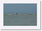 DSC06969_S * 5473 x 3648 * (4.6MB)