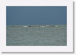 DSC06974_S * 5473 x 3648 * (4.65MB)
