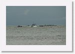 DSC07068_S * 5473 x 3648 * (4.66MB)