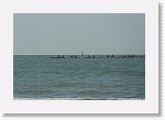 DSC07258_S * 5473 x 3648 * (4.21MB)