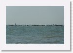DSC07259_S * 5473 x 3648 * (4.3MB)