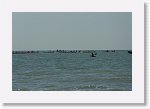 DSC07260_S * 5473 x 3648 * (4.46MB)