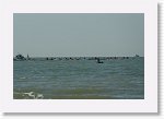 DSC07267_S * 5473 x 3648 * (4.25MB)
